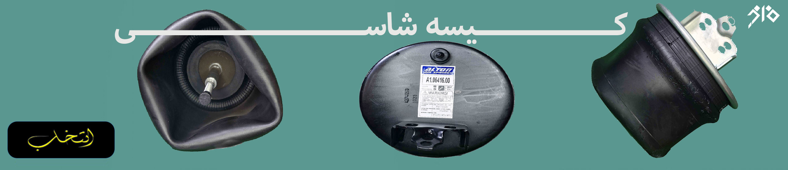 کیسه شاسی
